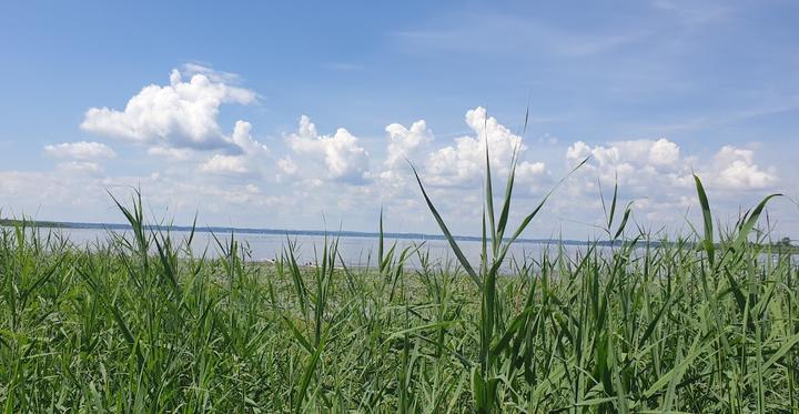 Wirtshaus zur Hirschauer Bucht